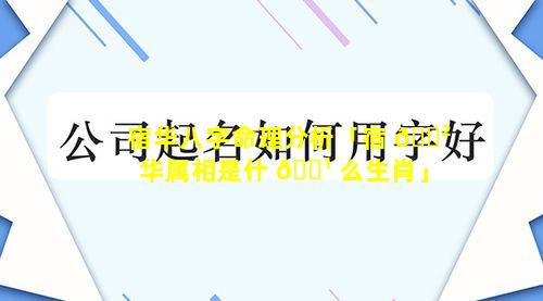 宿华八字命理分析「宿 🌲 华属相是什 🌹 么生肖」